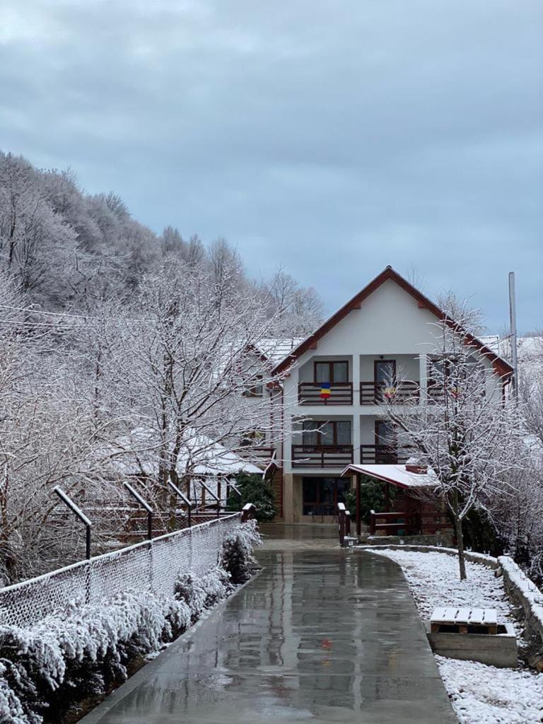Pensiunea Valea Toplitei Rosia 외부 사진